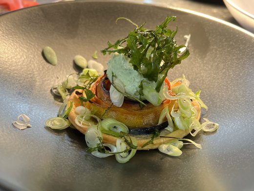 Unser Hotel in Söll/Österreich: eine spannende Geschichte Kunstvoll angerichtete Vorspeise mit Kräutercreme und Frühlingszwiebeln auf Teller