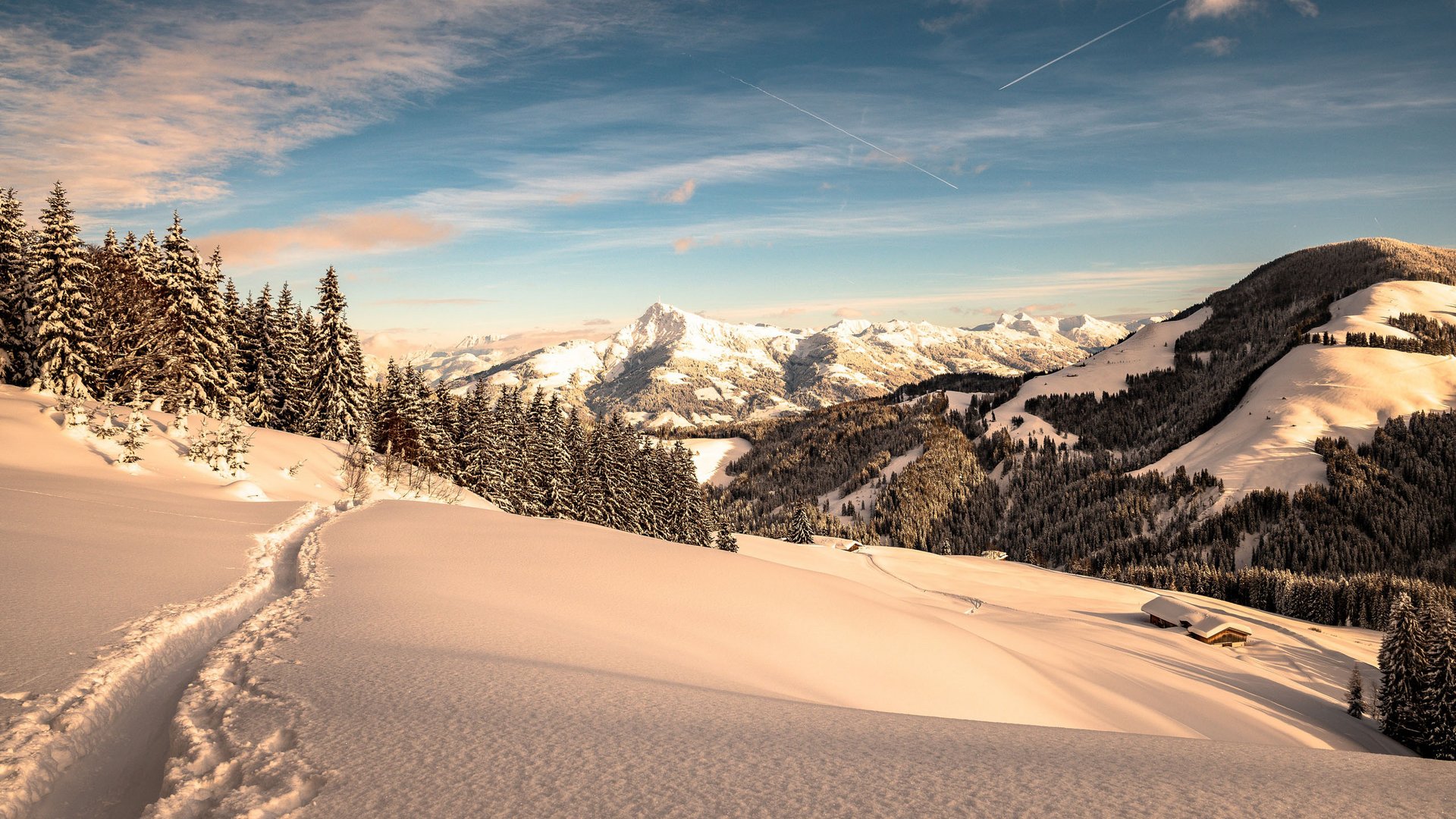 Entdecken Sie die Region mit der Wilder Kaiser GästeCard! Verschneite Alpenlandschaft mit Bäumen, Bergen und blauem Himmel