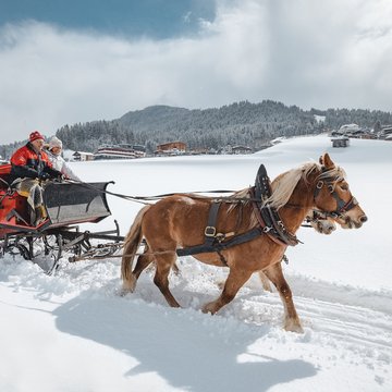Urlaub in Söll mit Kindern oder als Pärchen Pferdeschlittenfahrt mit vier Personen durch verschneite Winterlandschaft