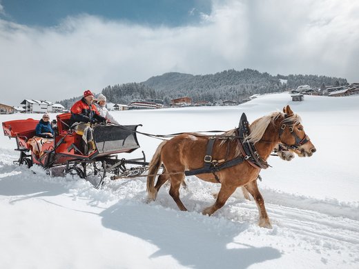 Winter in Söll: das Skigebiet SkiWelt Wilder Kaiser Pferdeschlittenfahrt mit vier Personen durch verschneite Winterlandschaft