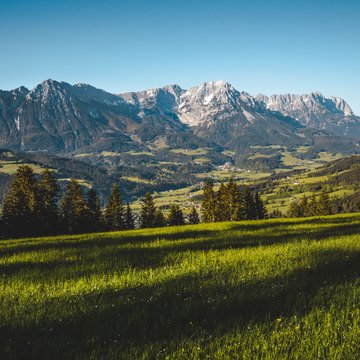 Urlaub in Söll mit Kindern oder als Pärchen Grüne Wiese mit Blick auf bewaldete Hügel und schneebedeckte Berge unter blauem Himmel