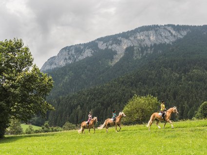 Söll: Ausflugsziele in der Umgebung Drei Menschen reiten auf Pferden vor bewaldetem Bergpanorama